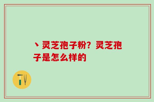 丶灵芝孢子粉？灵芝孢子是怎么样的