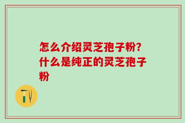 怎么介绍灵芝孢子粉？什么是纯正的灵芝孢子粉