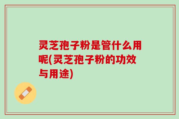 灵芝孢子粉是管什么用呢(灵芝孢子粉的功效与用途)