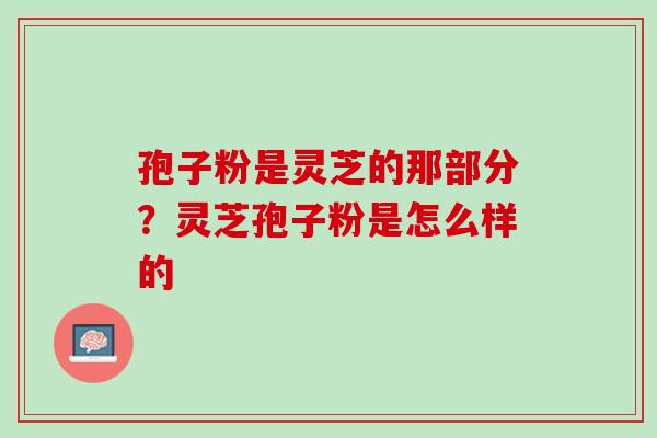孢子粉是灵芝的那部分？灵芝孢子粉是怎么样的