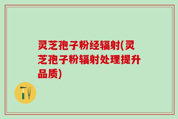 灵芝孢子粉经(灵芝孢子粉处理提升品质) 灵芝孢子粉经(灵芝孢子粉处理提升品质)