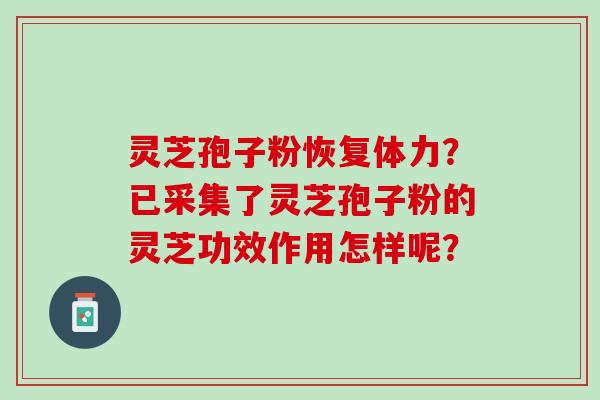 灵芝孢子粉恢复体力？已采集了灵芝孢子粉的灵芝功效作用怎样呢？