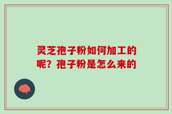 灵芝孢子粉如何加工的呢？孢子粉是怎么来的