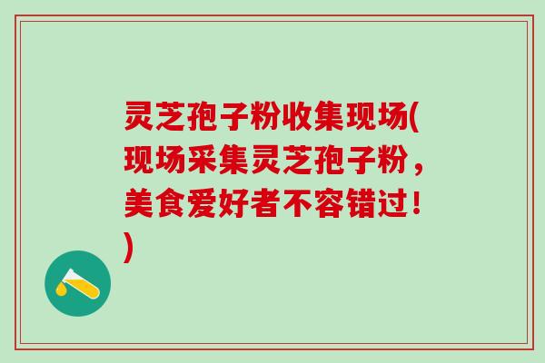 灵芝孢子粉收集现场(现场采集灵芝孢子粉，美食爱好者不容错过！)