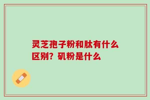 灵芝孢子粉和肽有什么区别？矶粉是什么