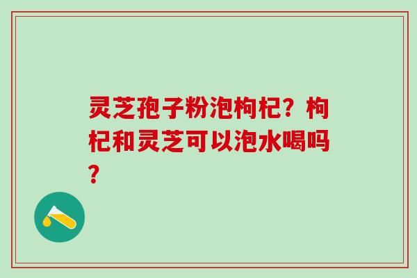 灵芝孢子粉泡枸杞？枸杞和灵芝可以泡水喝吗？