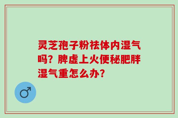 灵芝孢子粉祛体内湿气吗？脾虚上火便秘肥胖湿气重怎么办？
