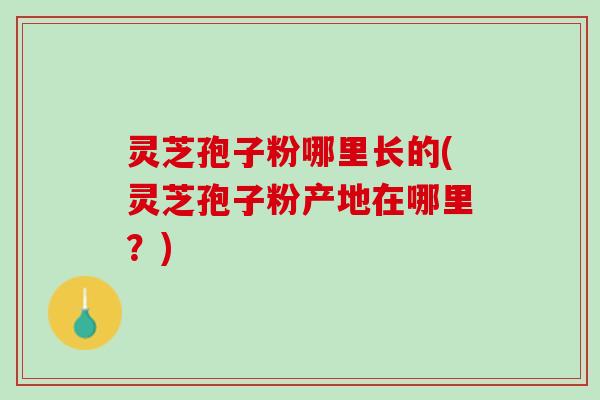 灵芝孢子粉哪里长的(灵芝孢子粉产地在哪里？)