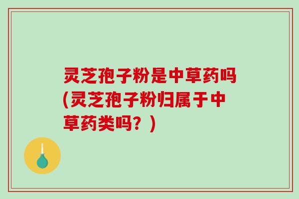 灵芝孢子粉是中草药吗(灵芝孢子粉归属于中草药类吗？)