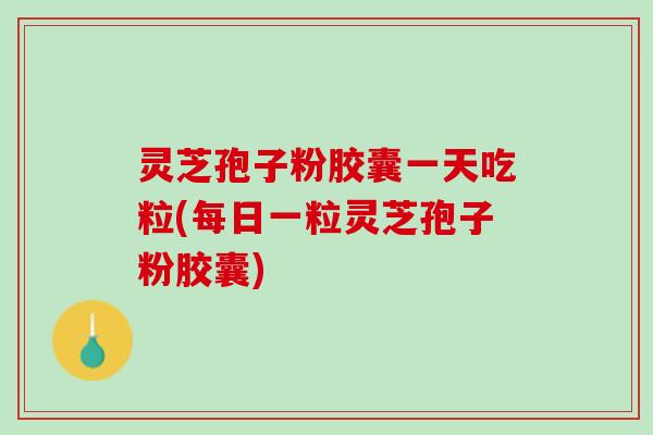 灵芝孢子粉胶囊一天吃粒(每日一粒灵芝孢子粉胶囊)
