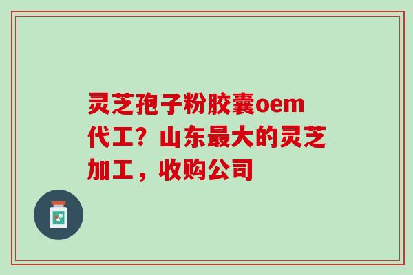 灵芝孢子粉胶囊oem代工？山东大的灵芝加工，收购公司
