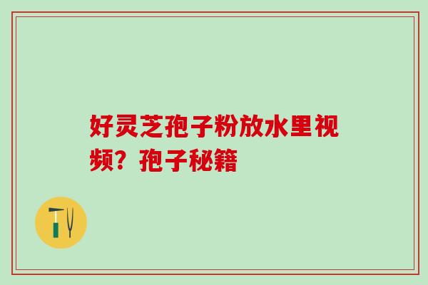 好灵芝孢子粉放水里视频?孢子秘籍 好灵芝孢子粉放水里视频?孢子秘籍