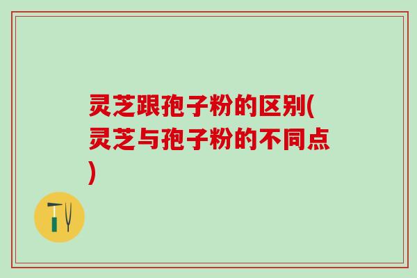 灵芝跟孢子粉的区别(灵芝与孢子粉的不同点)