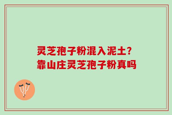 灵芝孢子粉混入泥土？靠山庄灵芝孢子粉真吗