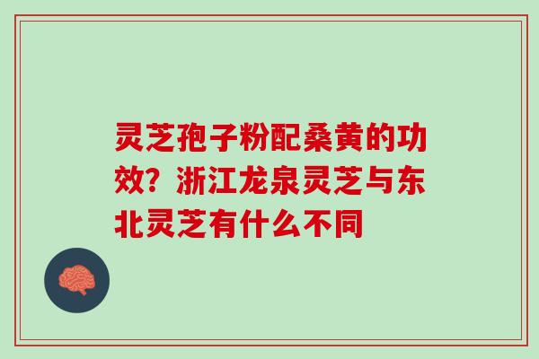 灵芝孢子粉配桑黄的功效？浙江龙泉灵芝与东北灵芝有什么不同