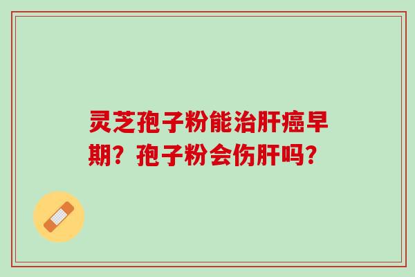 灵芝孢子粉能治肝癌早期？孢子粉会伤肝吗？