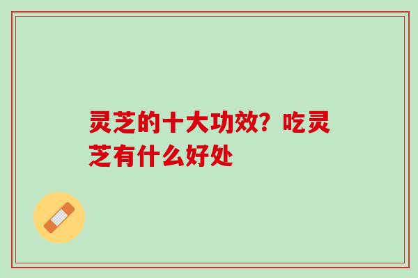 灵芝的十大功效？吃灵芝有什么好处