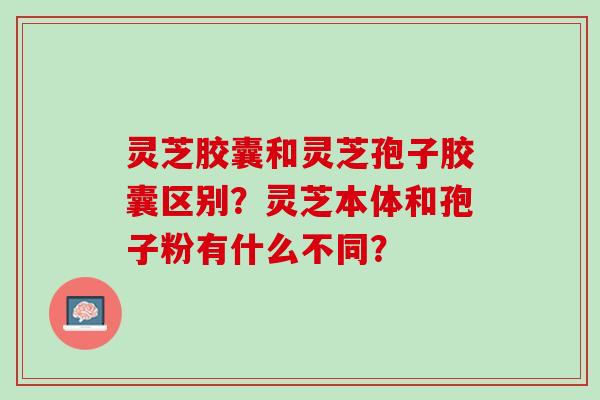 灵芝胶囊和灵芝孢子胶囊区别？灵芝本体和孢子粉有什么不同？