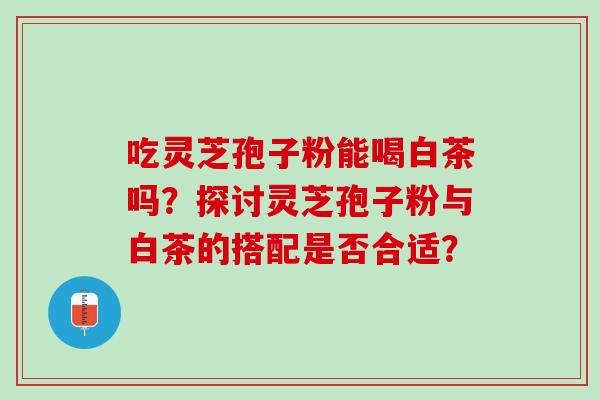 吃灵芝孢子粉能喝白茶吗？探讨灵芝孢子粉与白茶的搭配是否合适？