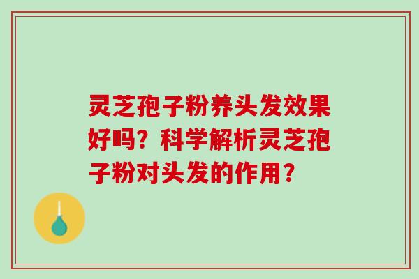 灵芝孢子粉养头发效果好吗？科学解析灵芝孢子粉对头发的作用？