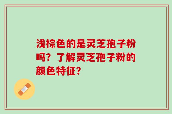 浅棕色的是灵芝孢子粉吗？了解灵芝孢子粉的颜色特征？