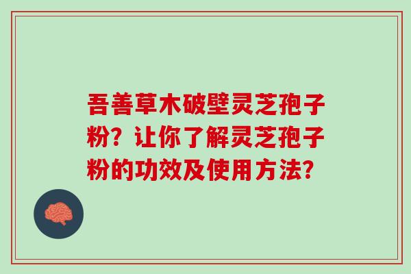 吾善草木破壁灵芝孢子粉？让你了解灵芝孢子粉的功效及使用方法？