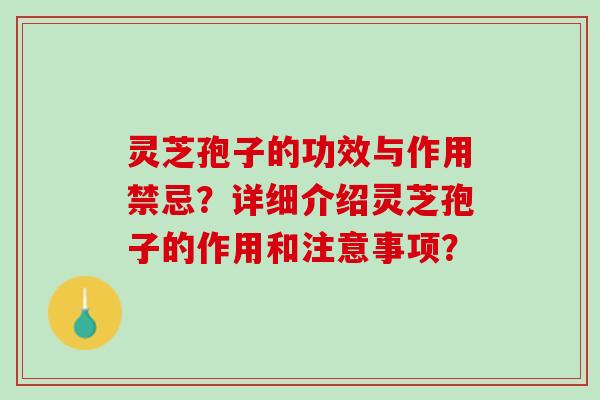 灵芝孢子的功效与作用禁忌？详细介绍灵芝孢子的作用和注意事项？
