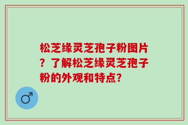 松芝缘灵芝孢子粉图片？了解松芝缘灵芝孢子粉的外观和特点？