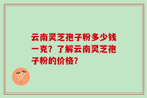 云南灵芝孢子粉多少钱一克？了解云南灵芝孢子粉的价格？