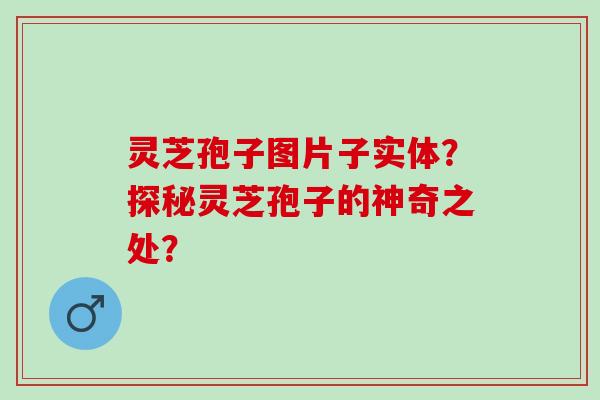 灵芝孢子图片子实体？探秘灵芝孢子的神奇之处？