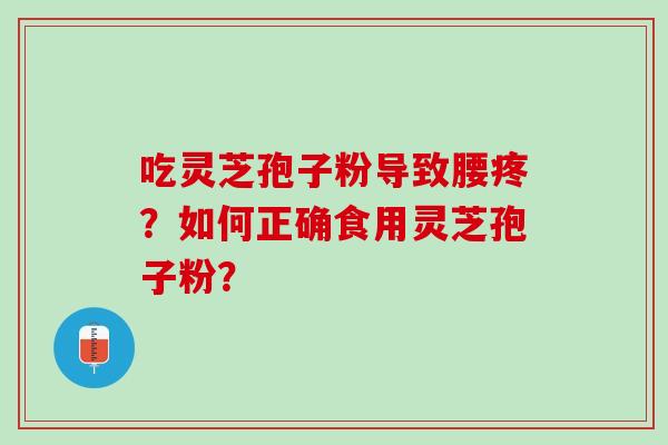 吃灵芝孢子粉导致腰疼？如何正确食用灵芝孢子粉？