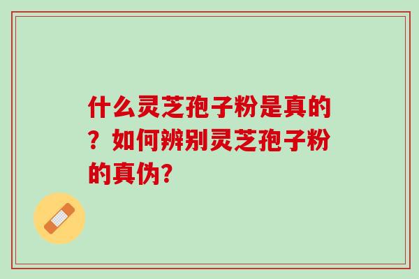 什么灵芝孢子粉是真的？如何辨别灵芝孢子粉的真伪？