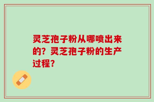 灵芝孢子粉从哪喷出来的?灵芝孢子粉的生产过程? 灵芝孢子粉从哪喷出来的?灵芝孢子粉的生产过程?