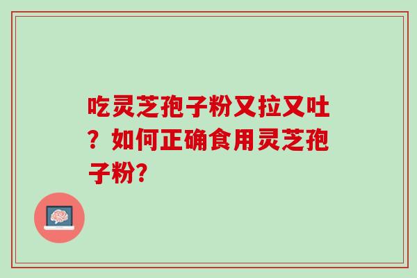 吃灵芝孢子粉又拉又吐？如何正确食用灵芝孢子粉？