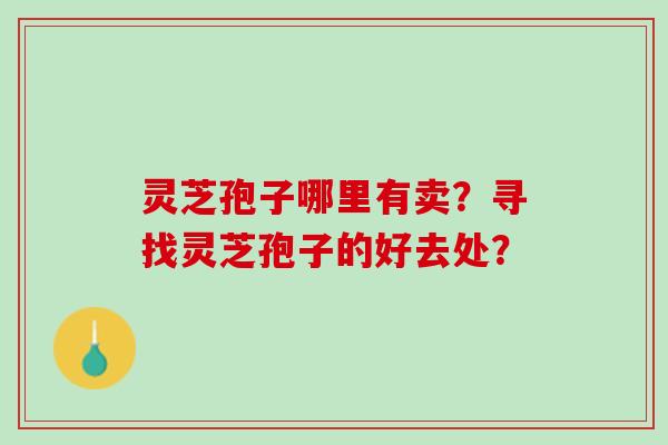 灵芝孢子哪里有卖？寻找灵芝孢子的好去处？