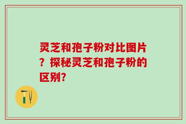 灵芝和孢子粉对比图片?探秘灵芝和孢子粉的区别? 灵芝和孢子粉对比图片?探秘灵芝和孢子粉的区别?