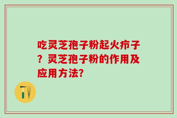 吃灵芝孢子粉起火疖子？灵芝孢子粉的作用及应用方法？