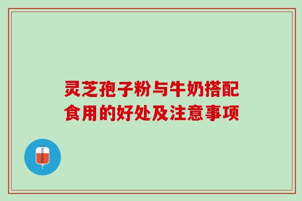 灵芝孢子粉与牛奶搭配食用的好处及注意事项