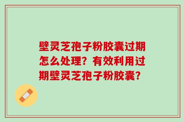 壁灵芝孢子粉胶囊过期怎么处理？有效利用过期壁灵芝孢子粉胶囊？