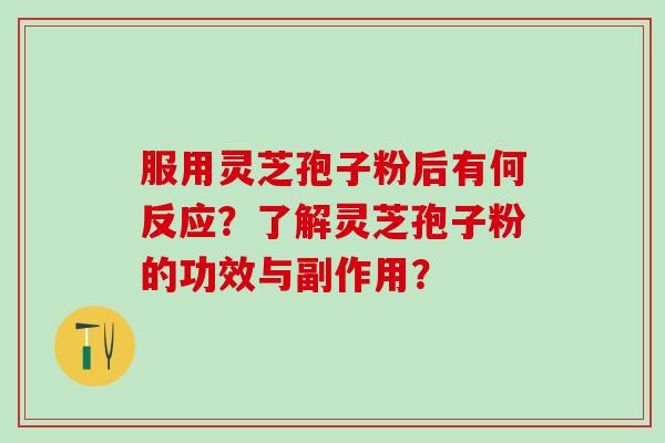 服用灵芝孢子粉后有何反应？了解灵芝孢子粉的功效与副作用？