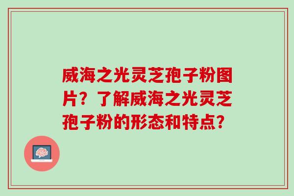 威海之光灵芝孢子粉图片？了解威海之光灵芝孢子粉的形态和特点？