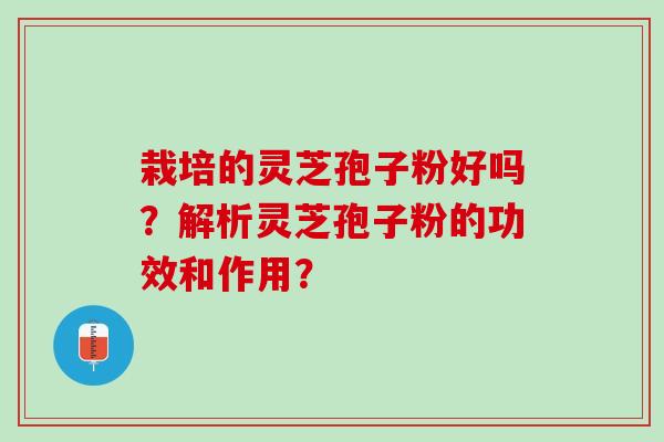 栽培的灵芝孢子粉好吗？解析灵芝孢子粉的功效和作用？
