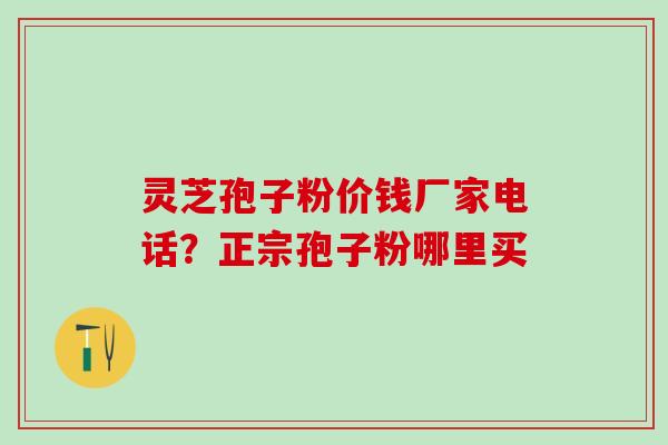 灵芝孢子粉价钱厂家电话？正宗孢子粉哪里买