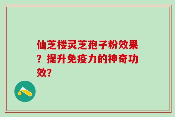 仙芝楼灵芝孢子粉效果？提升免疫力的神奇功效？