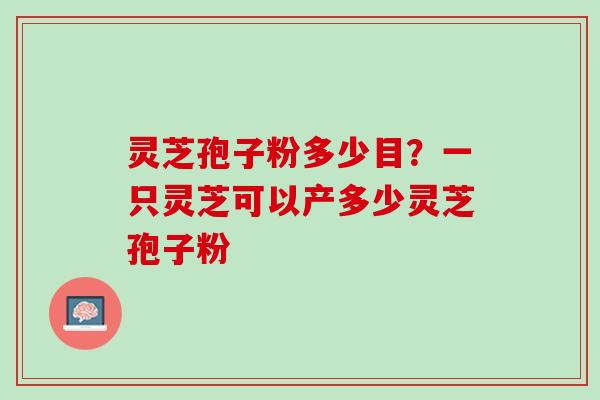 灵芝孢子粉多少目？一只灵芝可以产多少灵芝孢子粉
