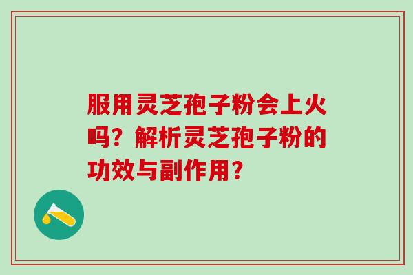 服用灵芝孢子粉会上火吗？解析灵芝孢子粉的功效与副作用？