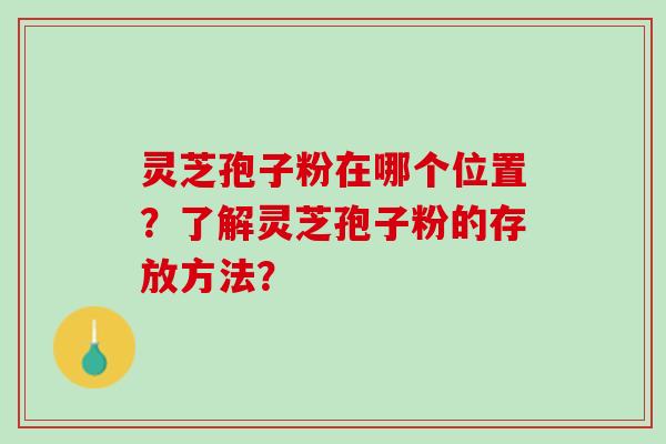 灵芝孢子粉在哪个位置？了解灵芝孢子粉的存放方法？
