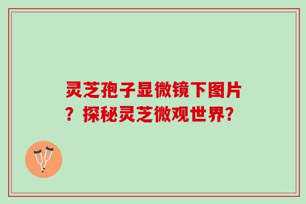 灵芝孢子显微镜下图片？探秘灵芝微观世界？