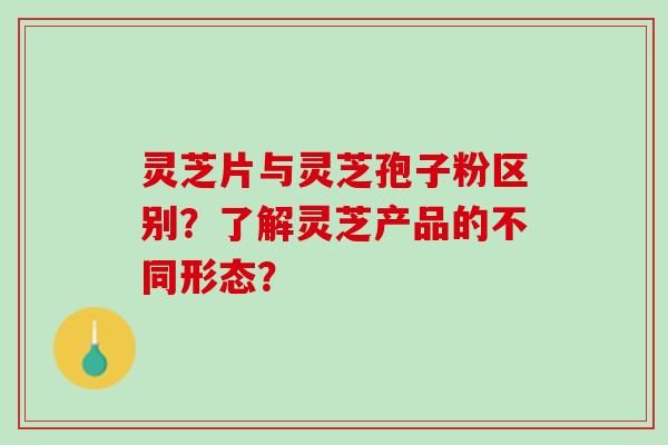 灵芝片与灵芝孢子粉区别？了解灵芝产品的不同形态？