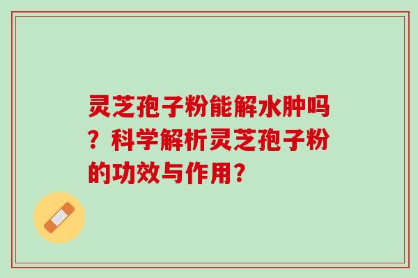 灵芝孢子粉能解水肿吗？科学解析灵芝孢子粉的功效与作用？